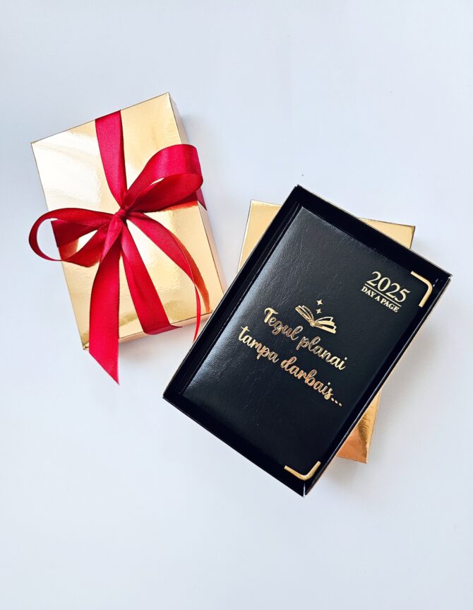 A6 Padded Day a Page 2025Diary (Black with box)